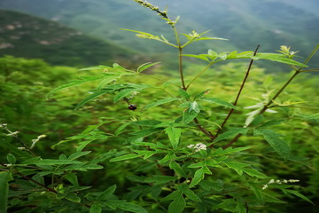 021 首页-BB贝博艾弗森公司官网